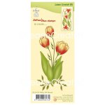 55.5732 Stemple Leane Creatief - tulipan