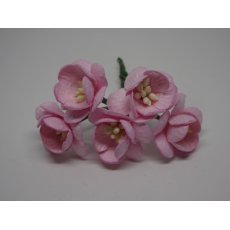 ILC-F-CHERRY09 Kwiat wiśni -różowy - 5sztuk