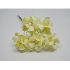 ILC-F-FILIP06 Kwiatki papierowe filipinki - kremowe 5szt