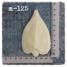 m-125 Forma molda liść - forma płatek anturium