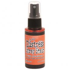 TSS42433 Distress Stain Spray-Ripe Persimmon