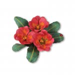 659263 Thinlits Die Set 10PK - Flower, Primrose